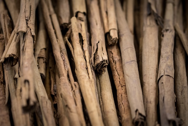 uriel soberanes UNIAiCiGm0A unsplash - Bricolaris